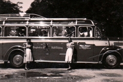 Bus_SW_3